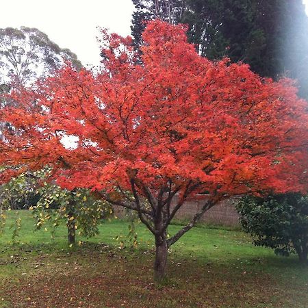 Menabillie Manor Bed & Breakfast Bowral Luaran gambar